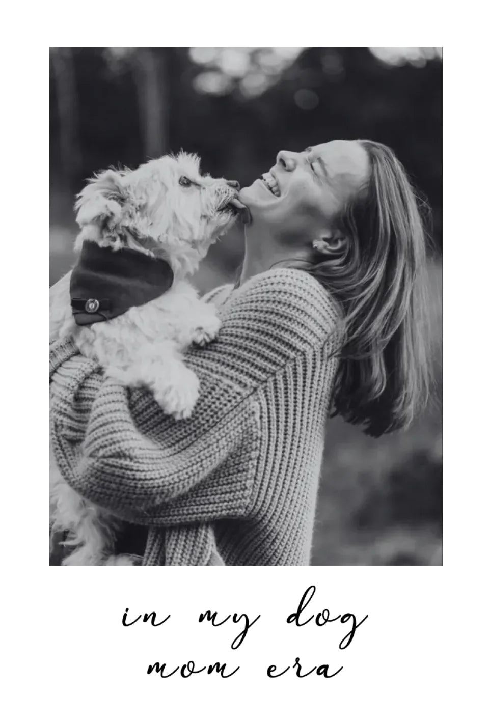 dog & cat mom&dad