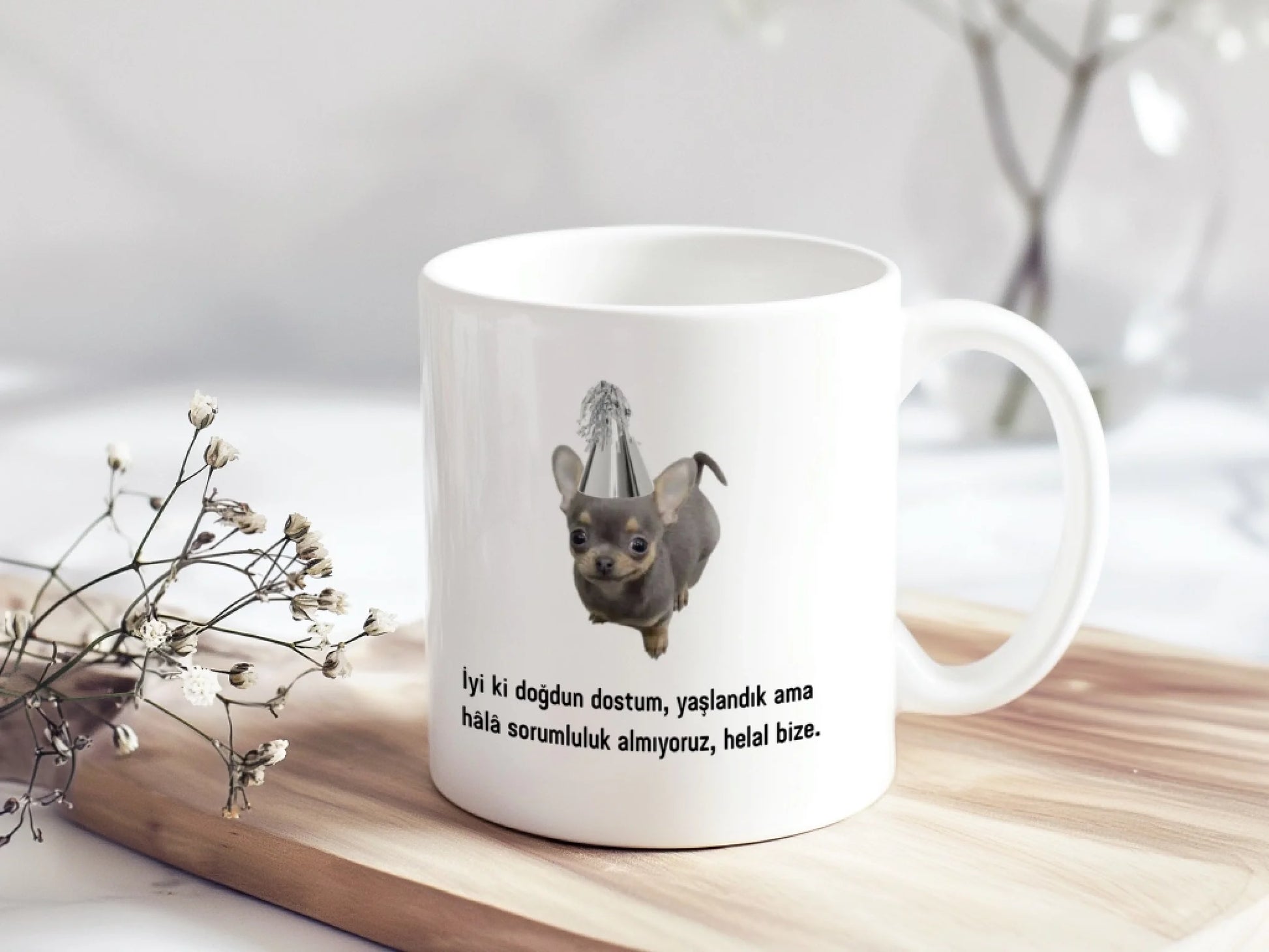 komikkopekcıkdogum5