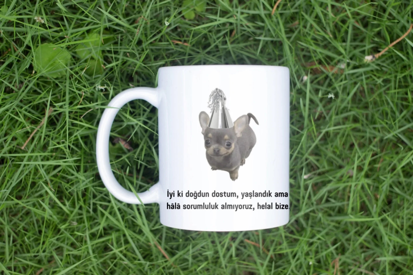 komikkopekcıkdogum2