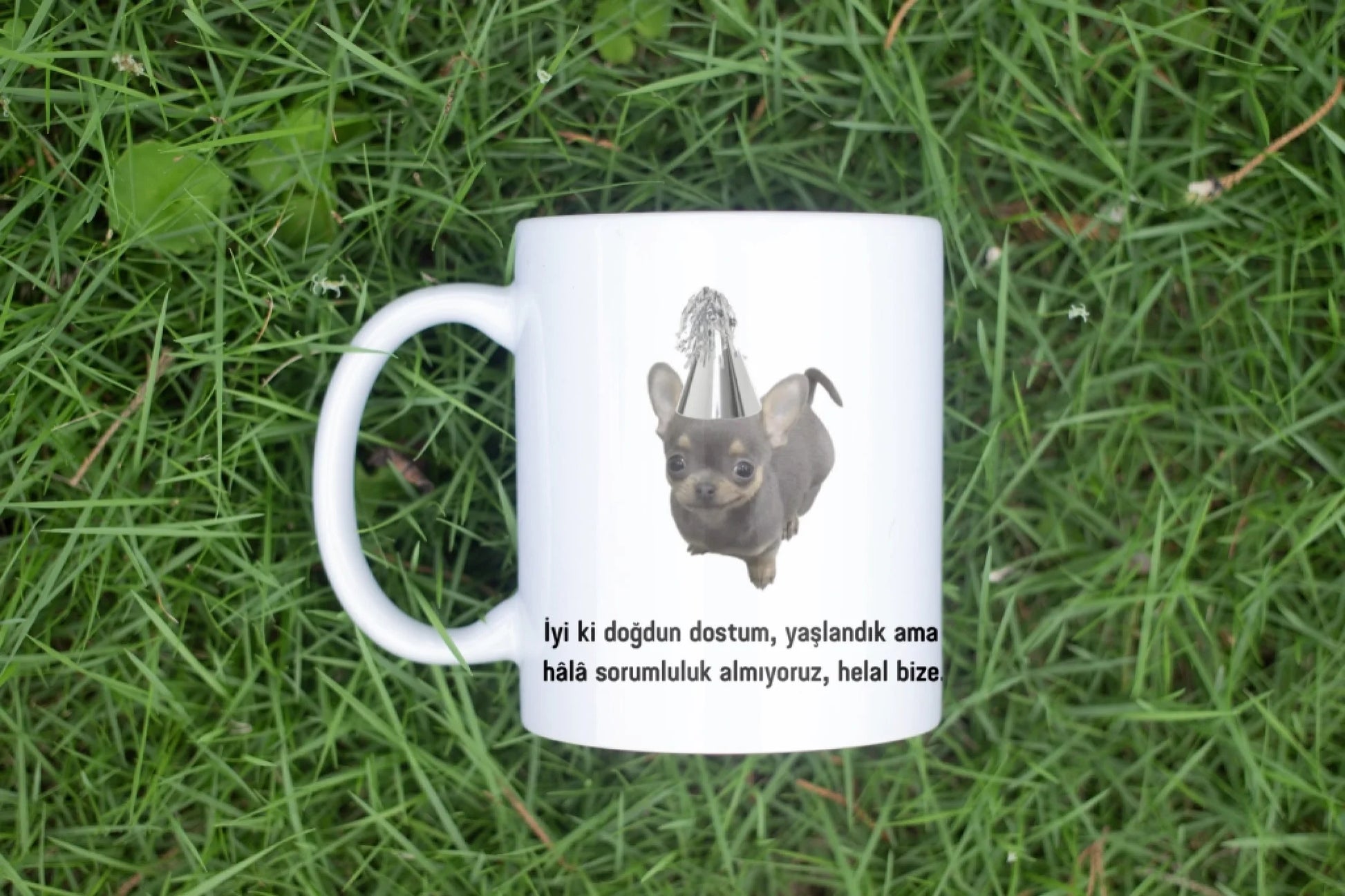 komikkopekcıkdogum2