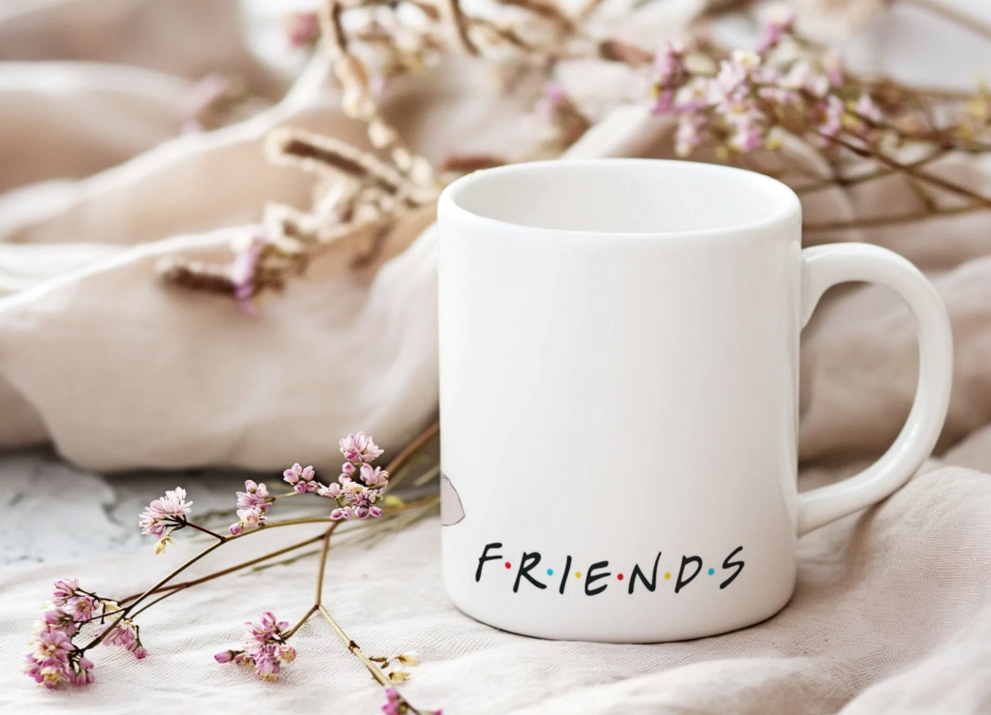 friendskarak1