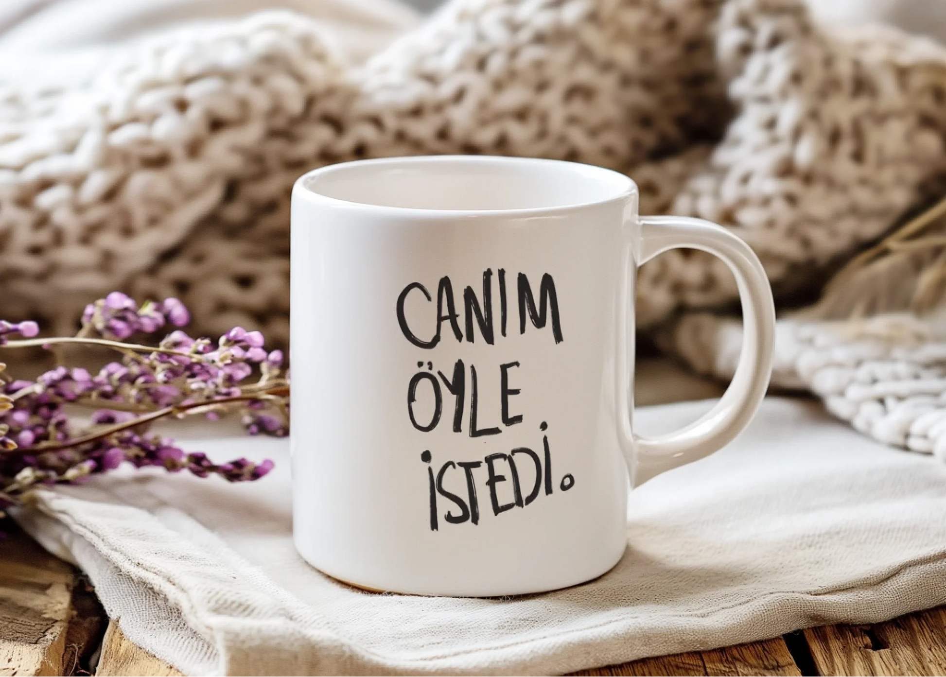 oyleistedi5