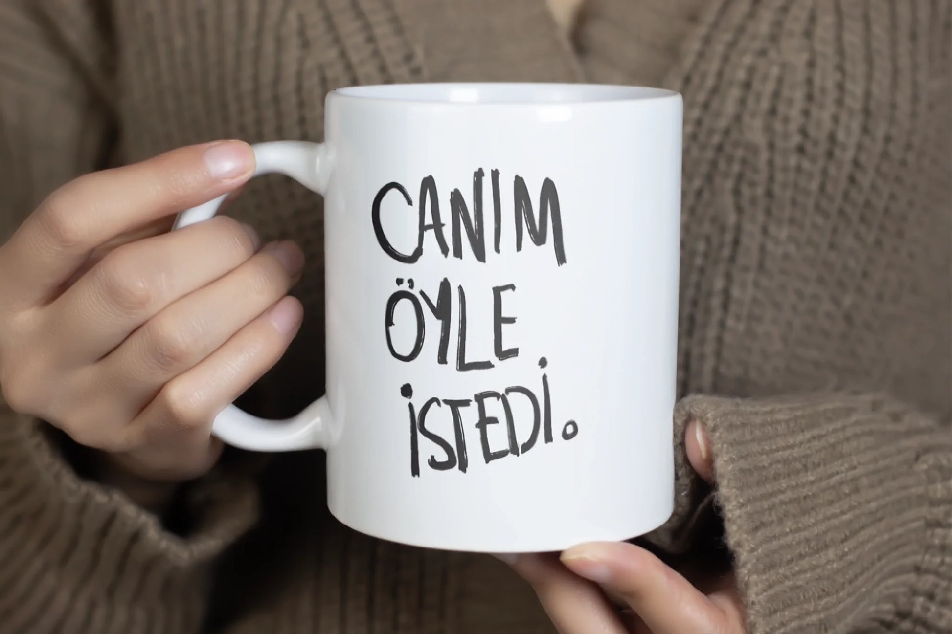 oyleistedi1