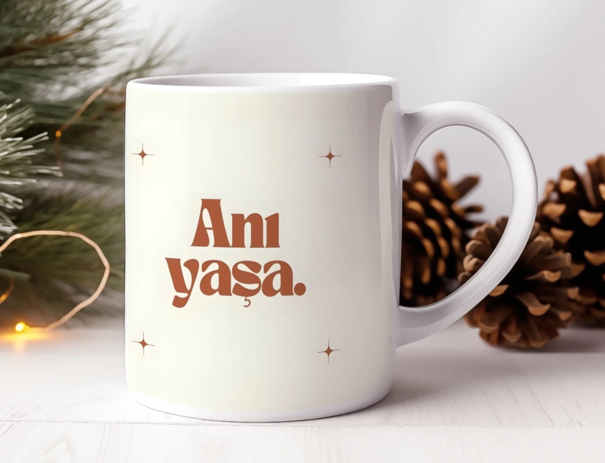 anıyasaanı1