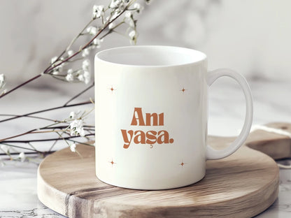 anıyasaanı4