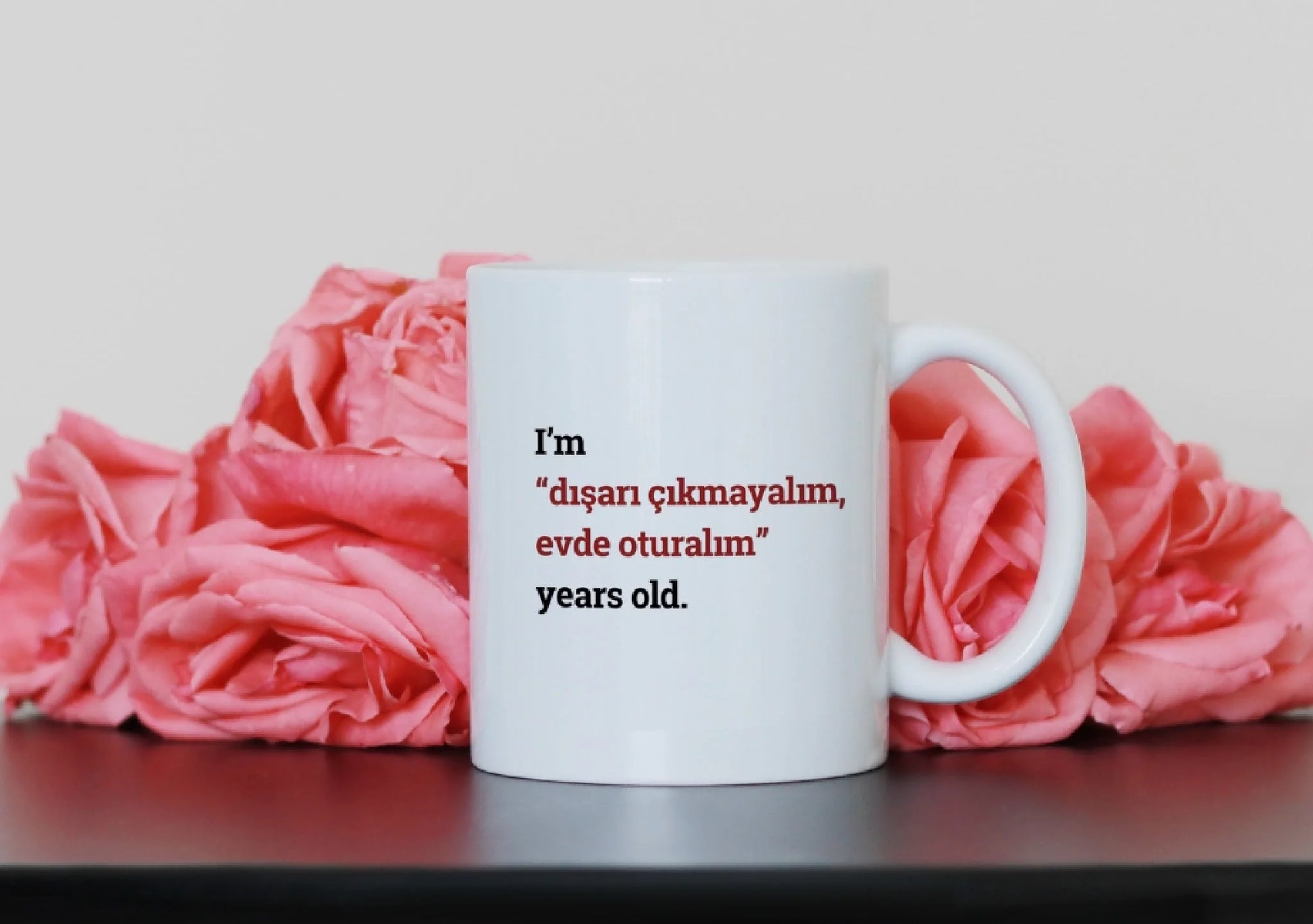 evdeoturalım4
