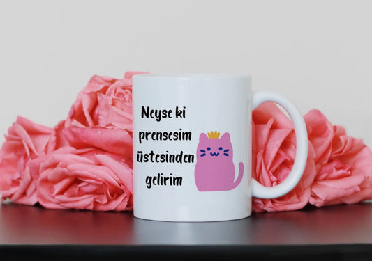 prensesgelir4